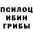 Псилоцибиновые грибы прущие грибы WitherFog