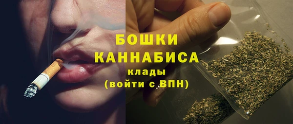 стаф Ладушкин