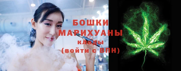 стаф Ладушкин
