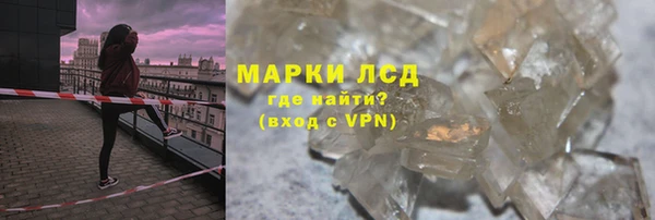 стаф Ладушкин