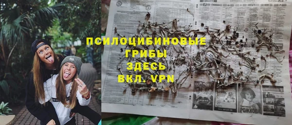 стаф Ладушкин