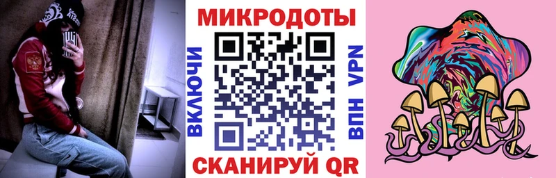 Купить где  Добрянка  Псилоцибиновые грибы Psilocybe 